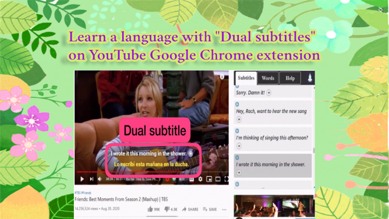 Chrome extension Dual subtitles for YouTube and Netflix