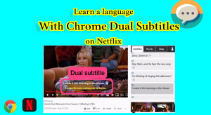 Dual subtitles on the Netflix Google Chrome extension