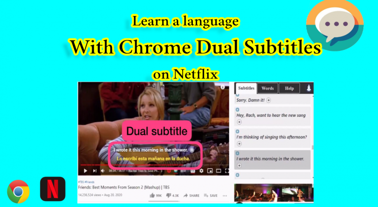 Dual subtitles on the Netflix Google Chrome extension